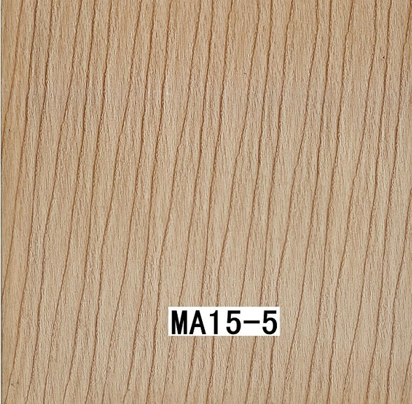 MA15-5 MA15-5