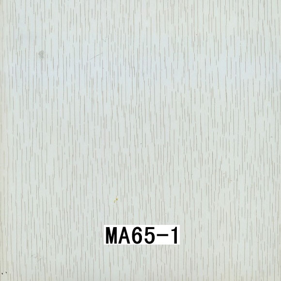 MA65-1 MA65-1
