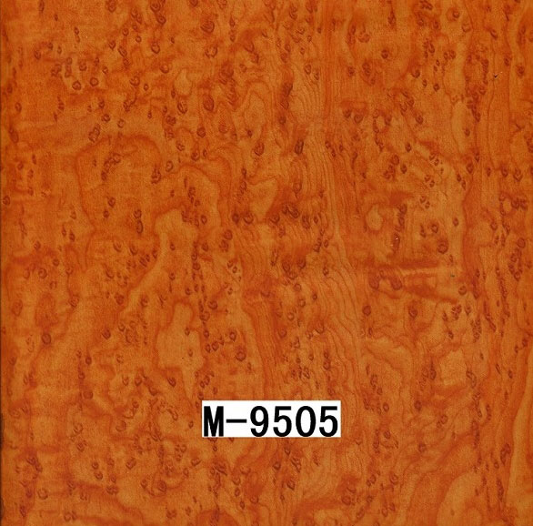 M-9505 M-9505