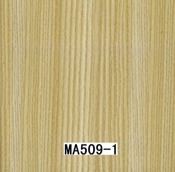 MA509-1 MA509-1