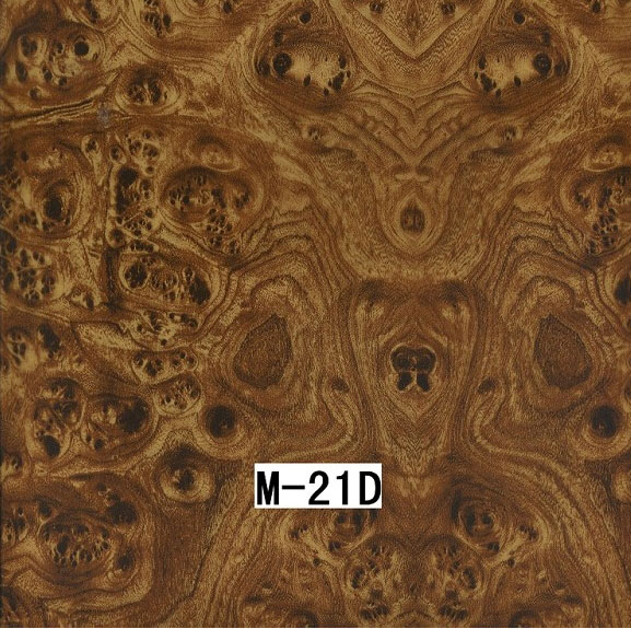 M-21D M-21D
