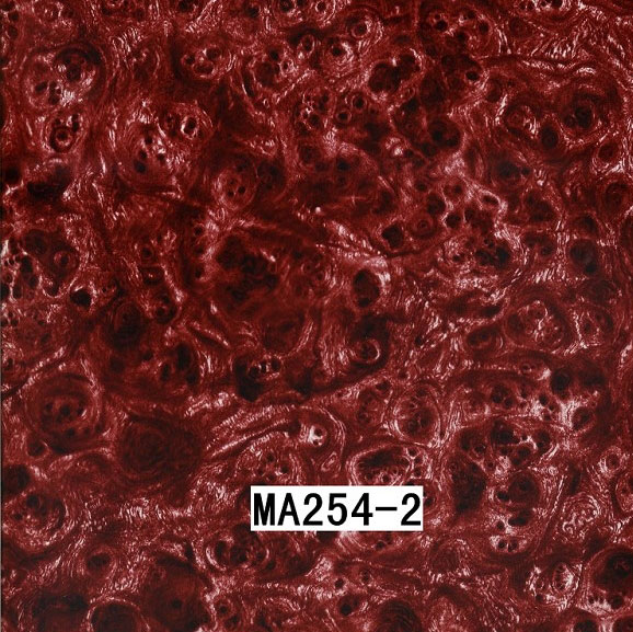 MA254-2 MA254-2