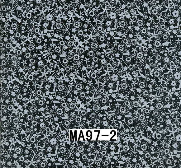 MA97-2 MA97-2