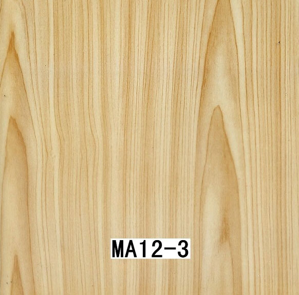 MA12-3 MA12-3