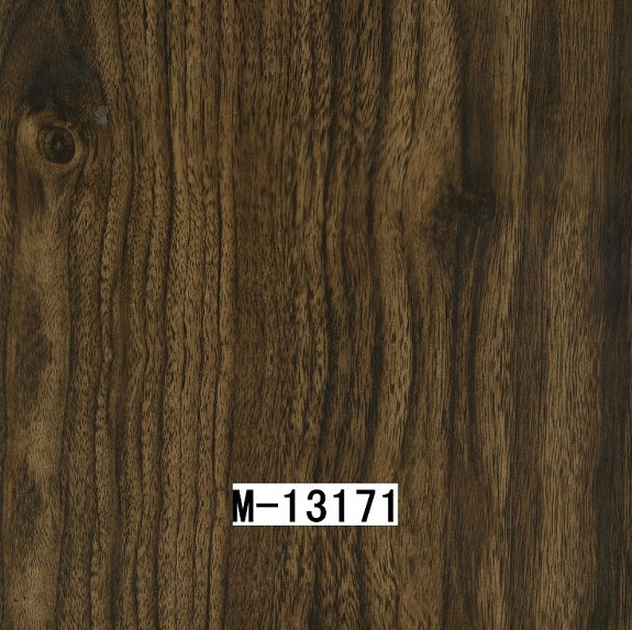 M-13171 M-13171