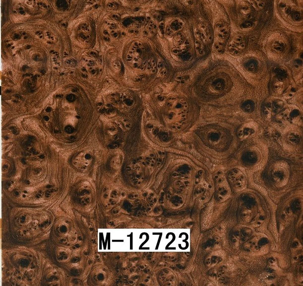 M-12723 M-12723