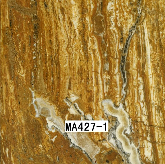 MA427-1 MA427-1