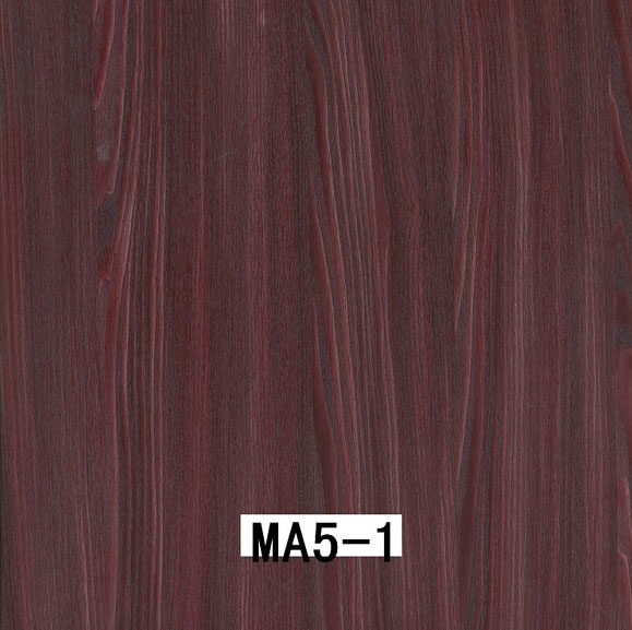 MA5-1 MA5-1