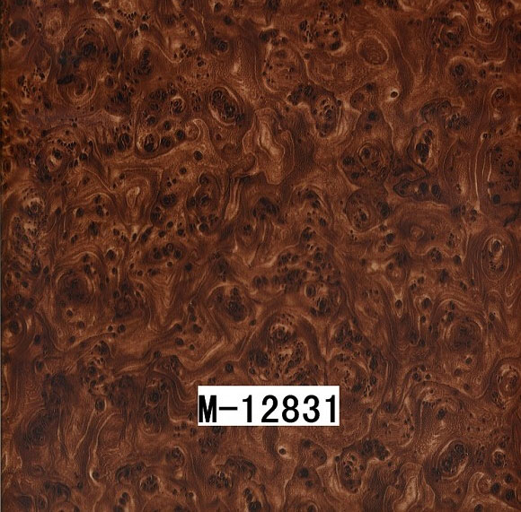 M-12831 M-12831