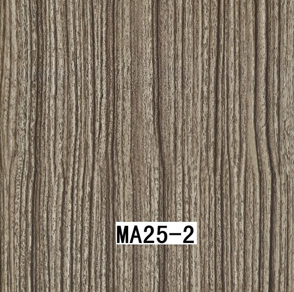 MA25-2 MA25-2