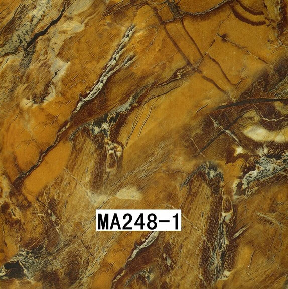 MA248-1 MA248-1