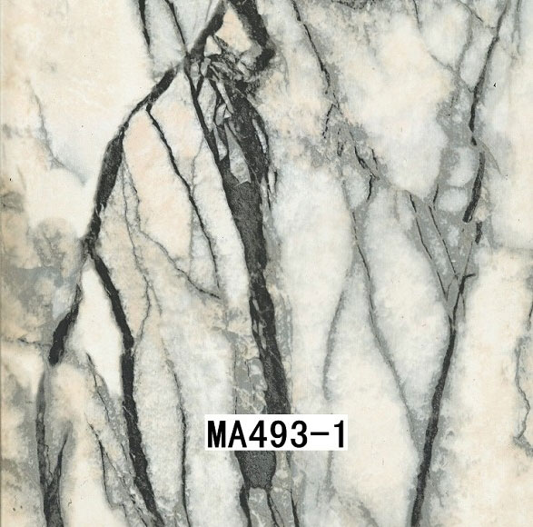 MA493-1 MA493-1
