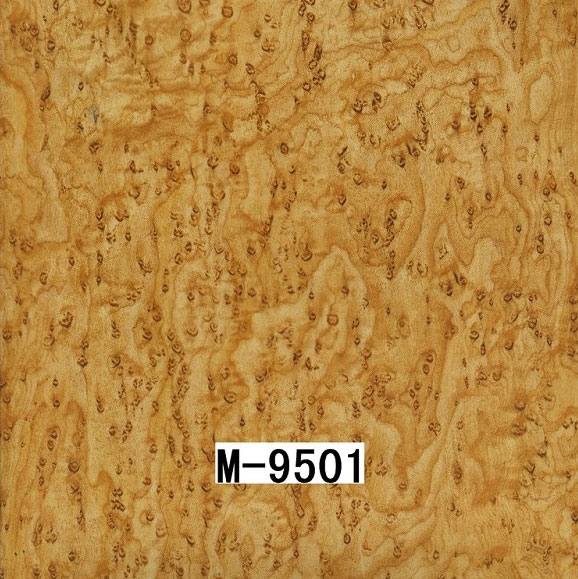 M-9501 M-9501