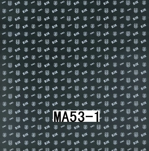 MA53-1 MA53-1