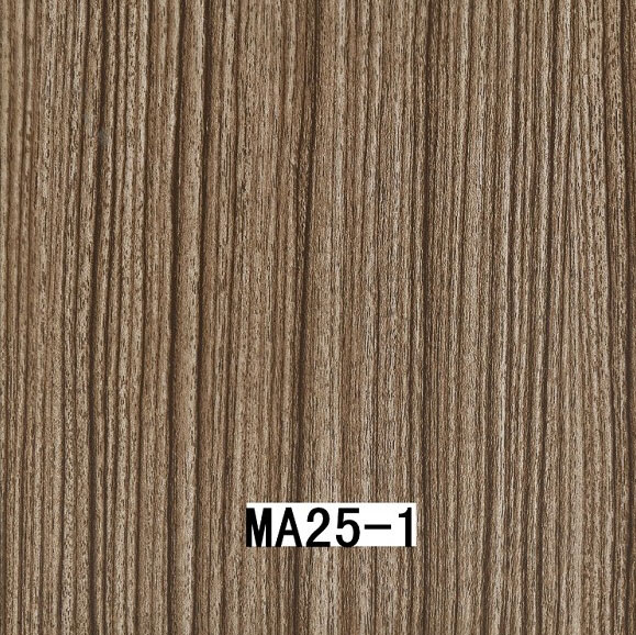MA25-1 MA25-1