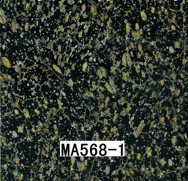 MA568-1 MA568-1
