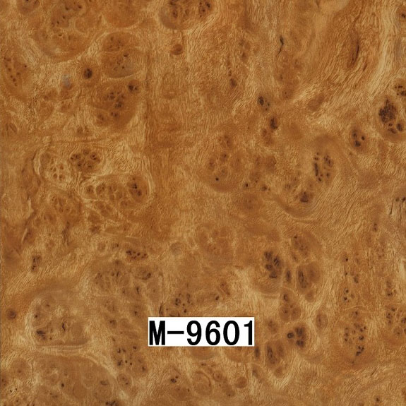 M-9601 M-9601