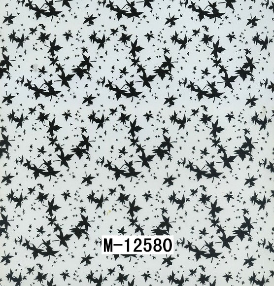 M-12580 M-12580