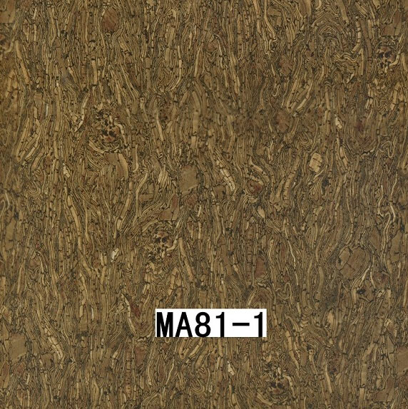 MA81-1 MA81-1