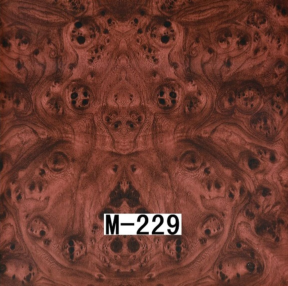 M-229 M-229