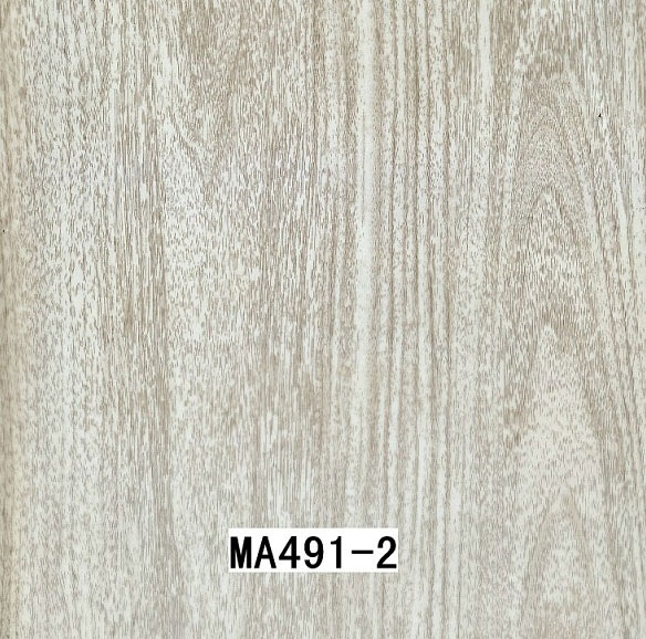 MA491-2 MA491-2