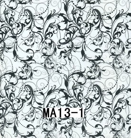 MA13-1 MA13-1