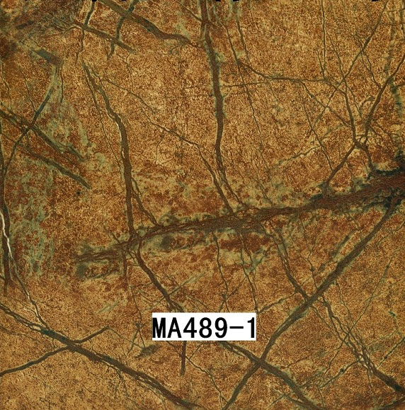 MA489-1 MA489-1
