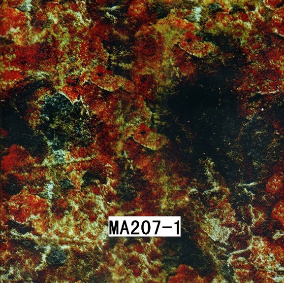 MA207-1 MA207-1