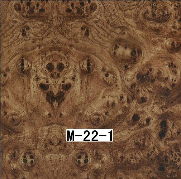 M-22-1 M-22-1