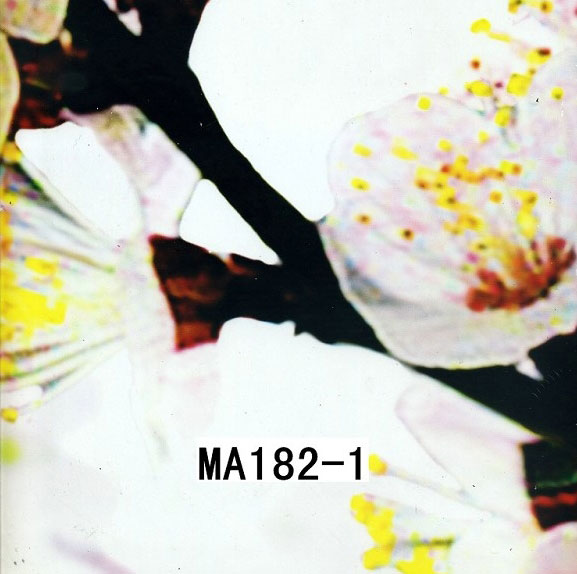 MA182-1 MA182-1