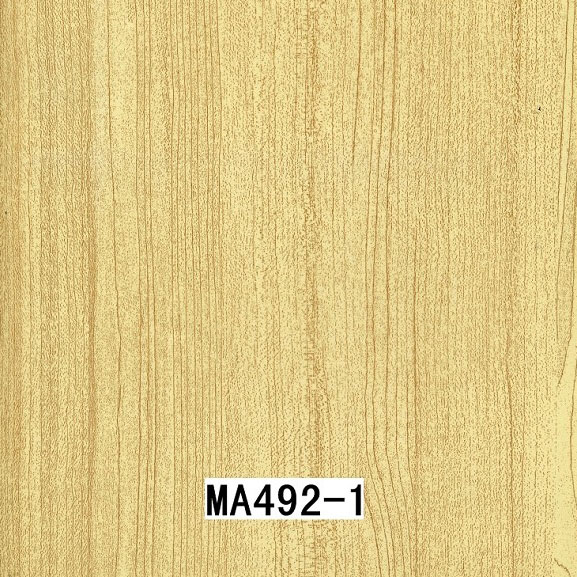 MA492-1 MA492-1