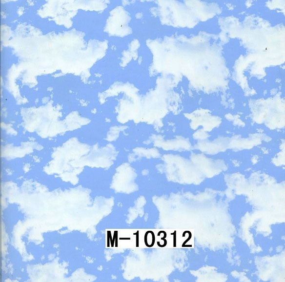 M-10312 M-10312