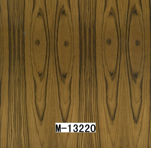 M-13220 M-13220