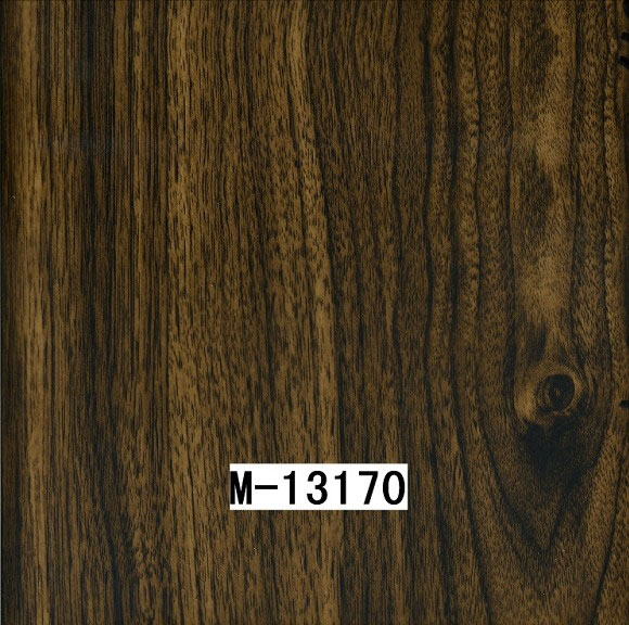 M-13170 M-13170