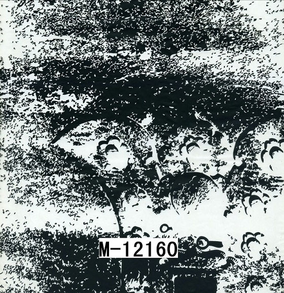 M-12160 M-12160