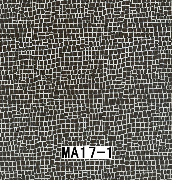 MA17-1 MA17-1