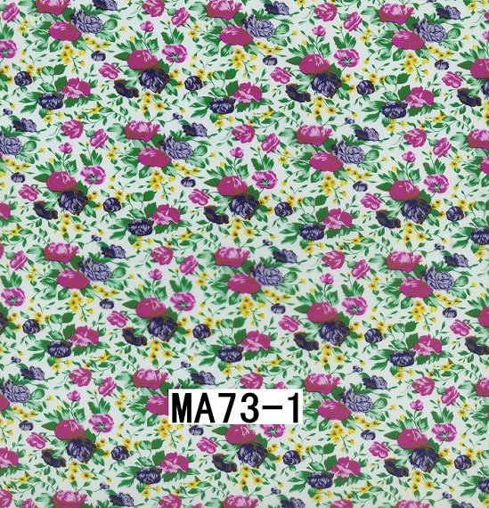 MA73-1 MA73-1
