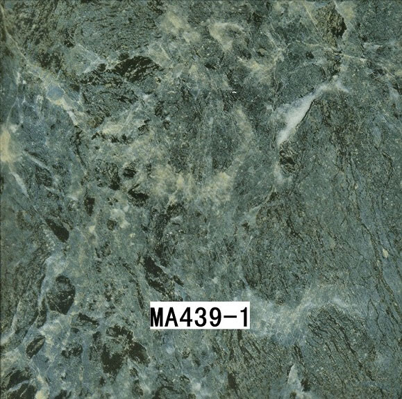 MA439-1 MA439-1