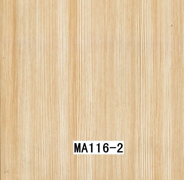 MA116-2 MA116-2