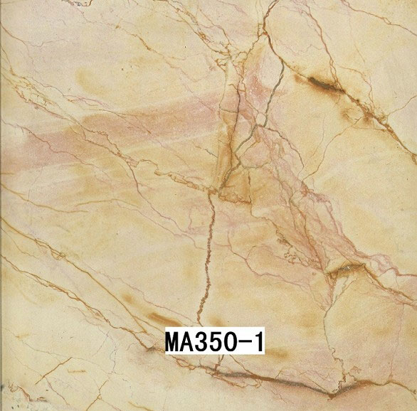 MA350-1 MA350-1