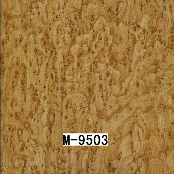 M-9503 M-9503