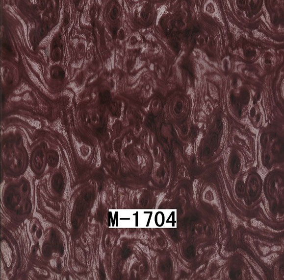 M-1704 M-1704