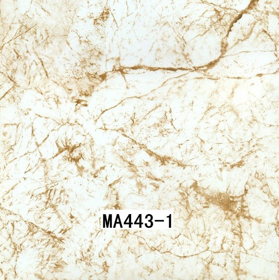 MA443-1 MA443-1