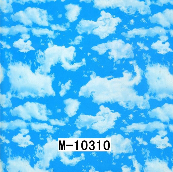 M-10310 M-10310