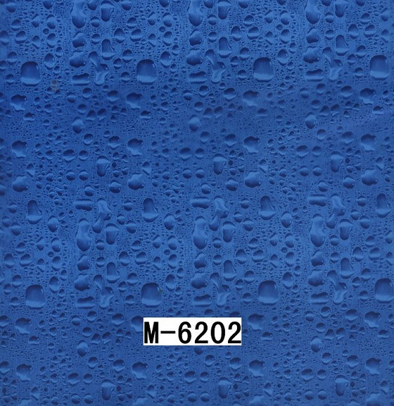 M-6202 M-6202