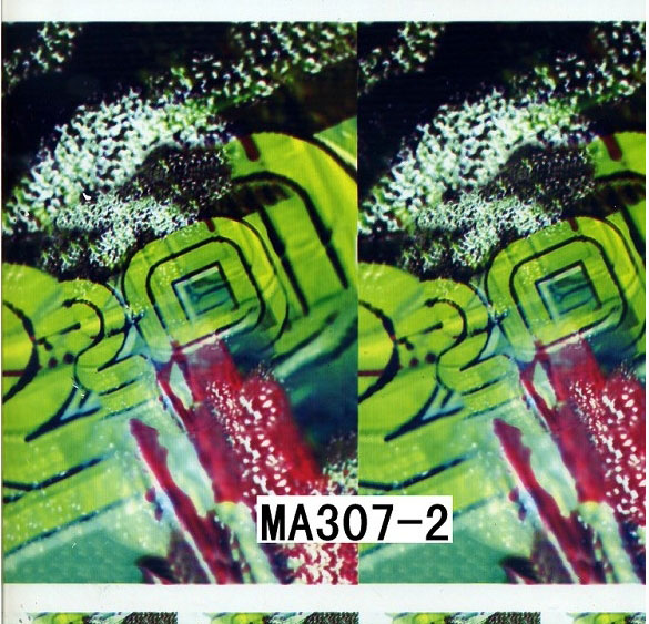 MA307-2 MA307-2