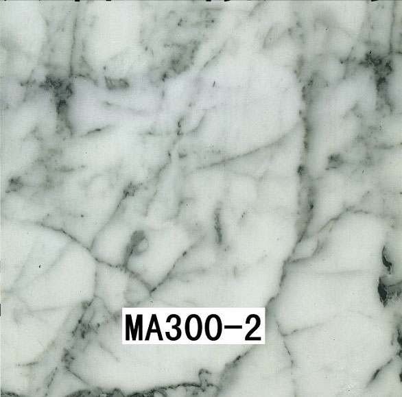 MA300-2 MA300-2