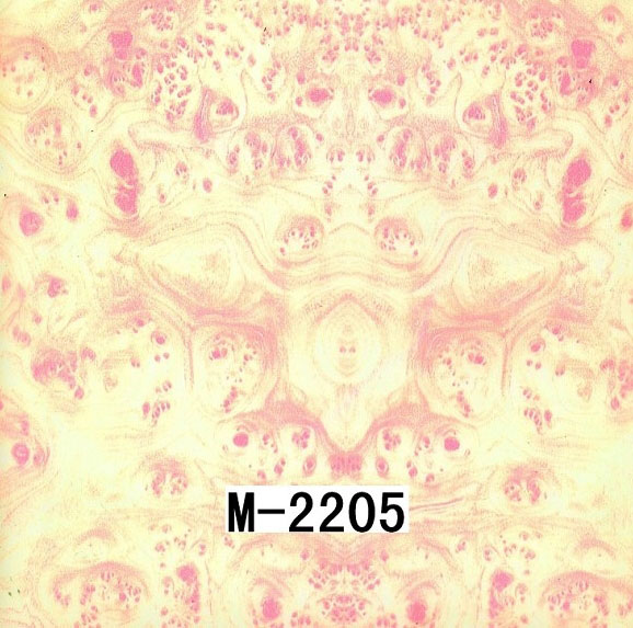 M-2205 M-2205
