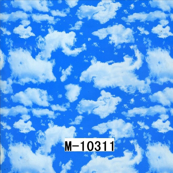 M-10311 M-10311