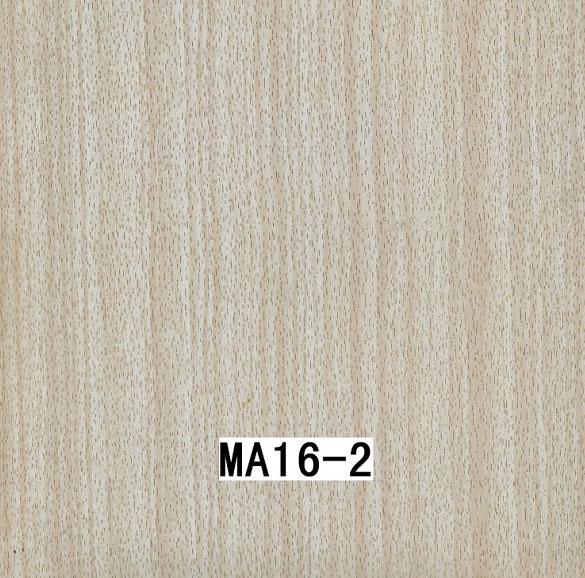 MA16-2 MA16-2